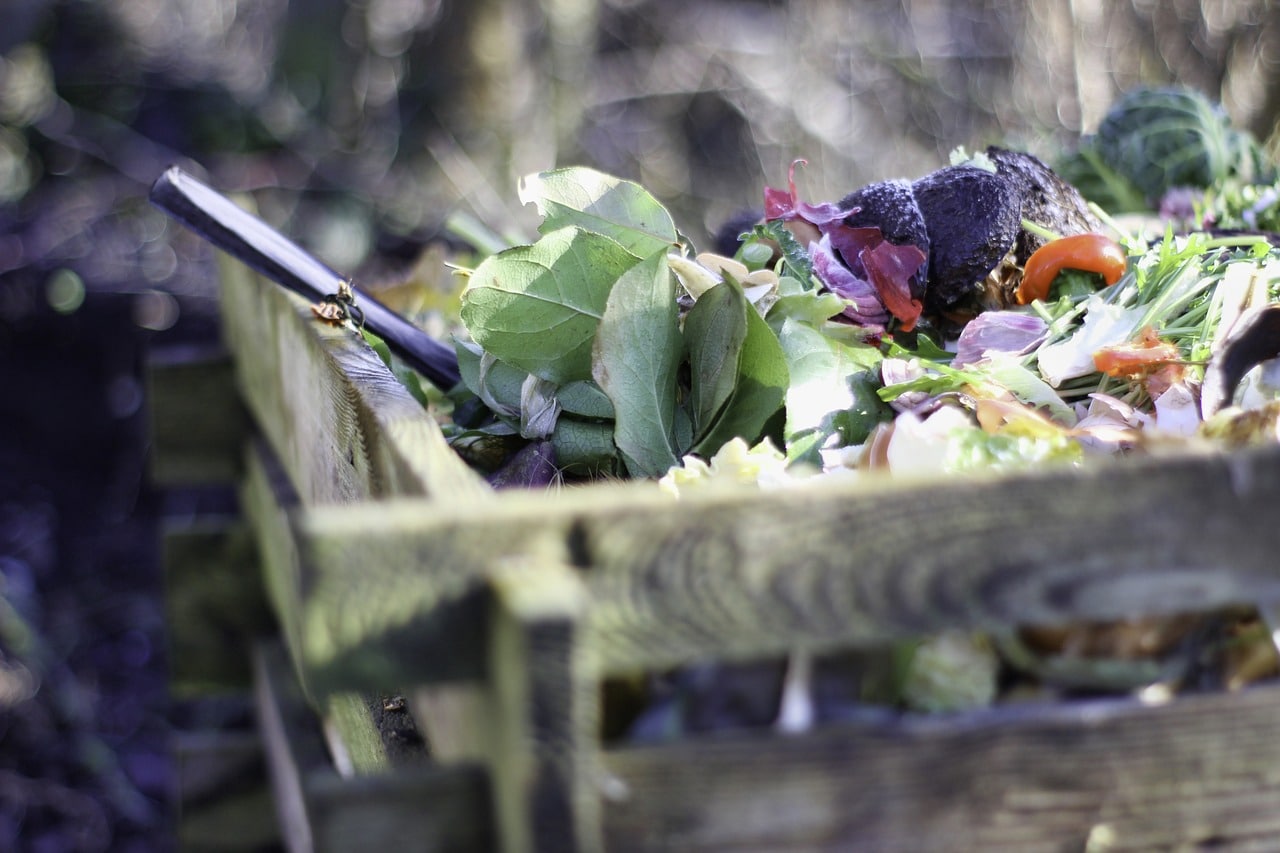 Accélérateur de compost naturel : nos astuces pour une décomposition rapide de vos déchets de jardin et de cuisine